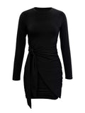 Round Neck Long Sleeve Bodycon Dress - Trendsi - Flyclothing LLC
