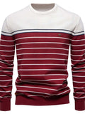 Men's Striped Round Neck Long Sleeve Sweater - Trendsi - Flyclothing LLC
