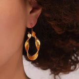 Titanium Steel Twisted Earrings - Trendsi - Flyclothing LLC