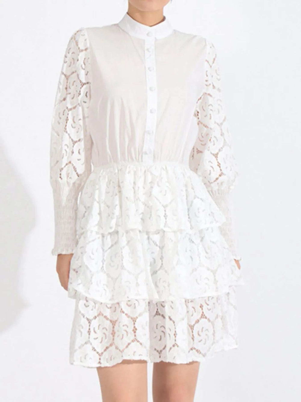 Full Size Lace Layered Long Sleeve Dress Plus Size - Trendsi - Flyclothing LLC