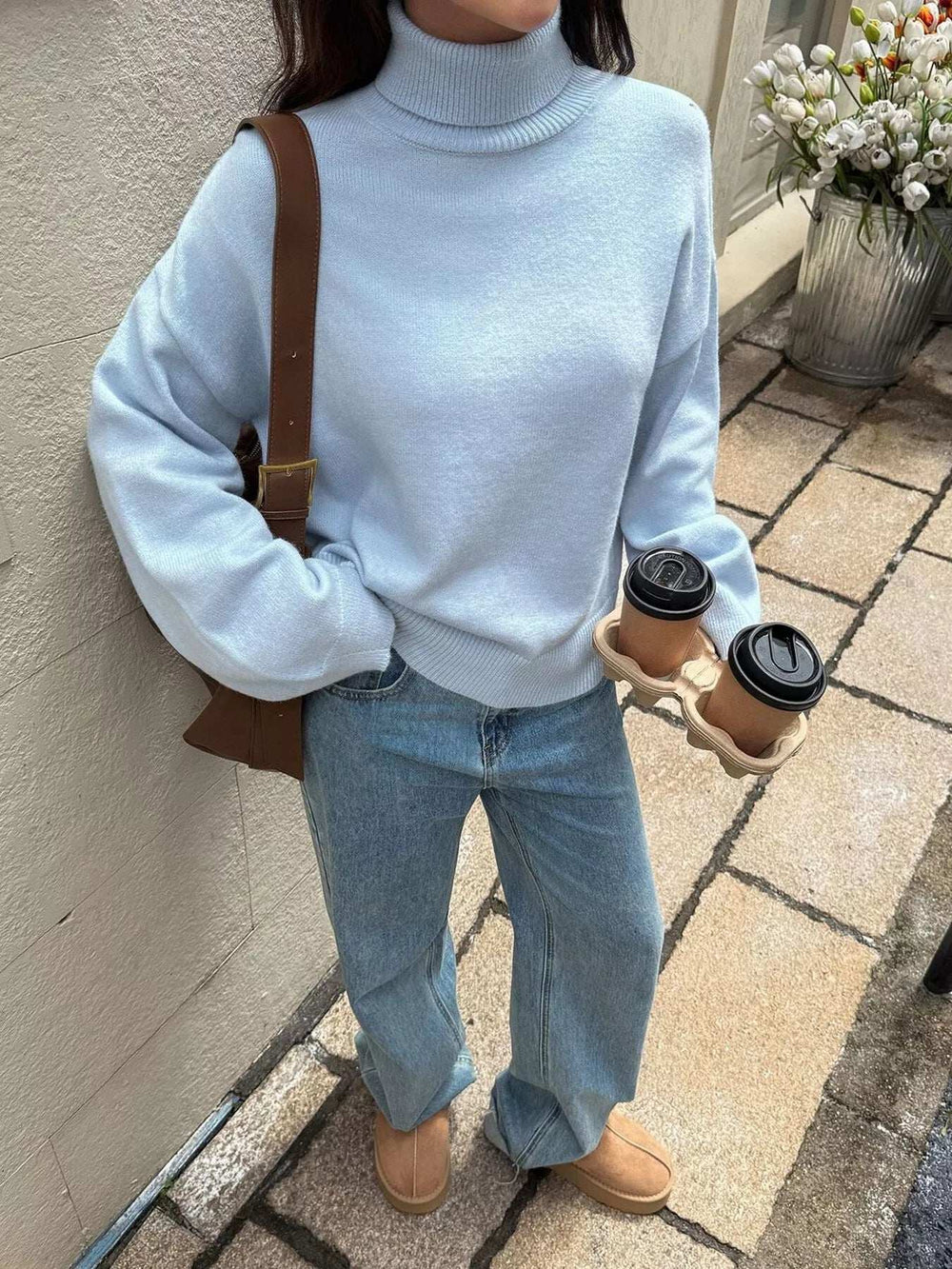 Turtleneck Long Sleeve Sweater - Trendsi - Flyclothing LLC