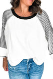 Striped Round Neck Raglan Sleeve Top - Trendsi - Flyclothing LLC