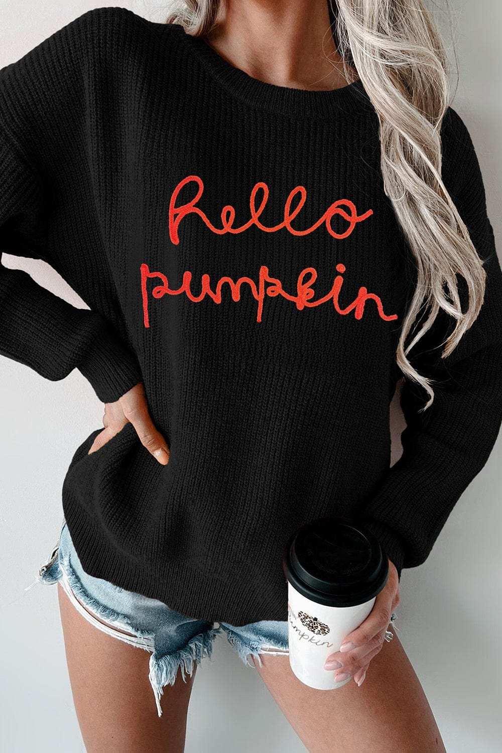 HELLO PUMPKIN Round Neck Long Sleeve Sweater - Trendsi - Flyclothing LLC