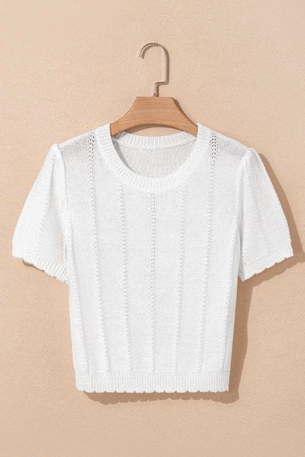 Openwork Round Neck Short Sleeve Knit Top - Trendsi - Flyclothing LLC