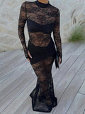 Lace Sheer Mock Neck Long Sleeve Maxi Dress - Trendsi - Flyclothing LLC