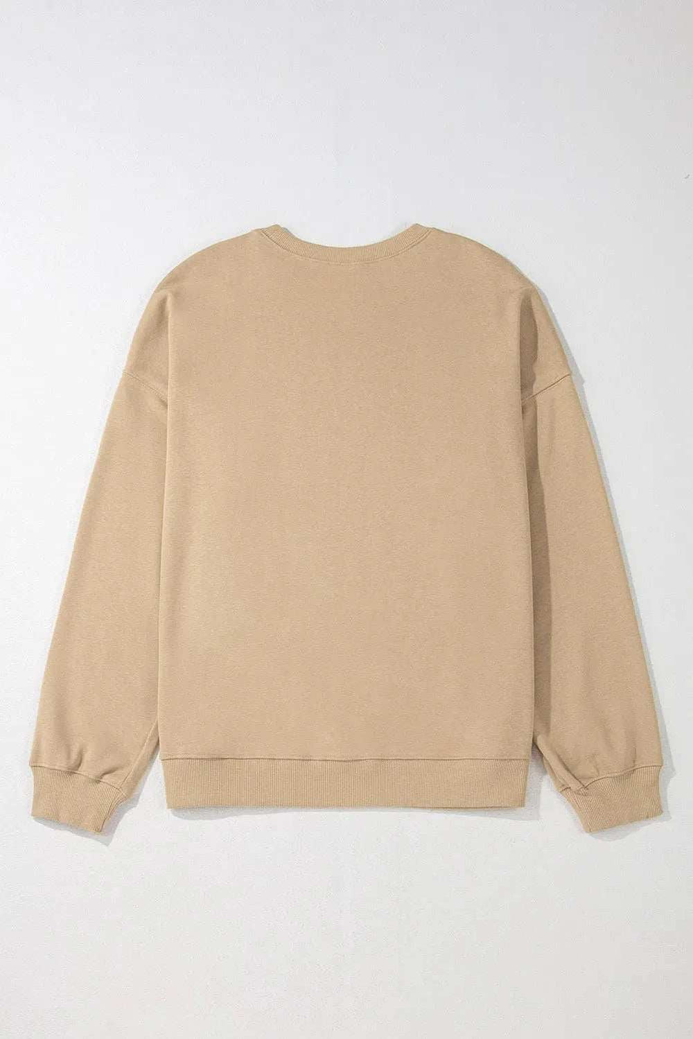 Plus Size Round Neck Long Sleeve Sweatshirt - Trendsi - Flyclothing LLC