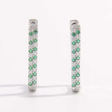 925 Sterling Silver Inlaid Zircon Earrings - Trendsi - Flyclothing LLC