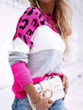 Leopard Color Block Round Neck Long Sleeve Sweater - Trendsi - Flyclothing LLC