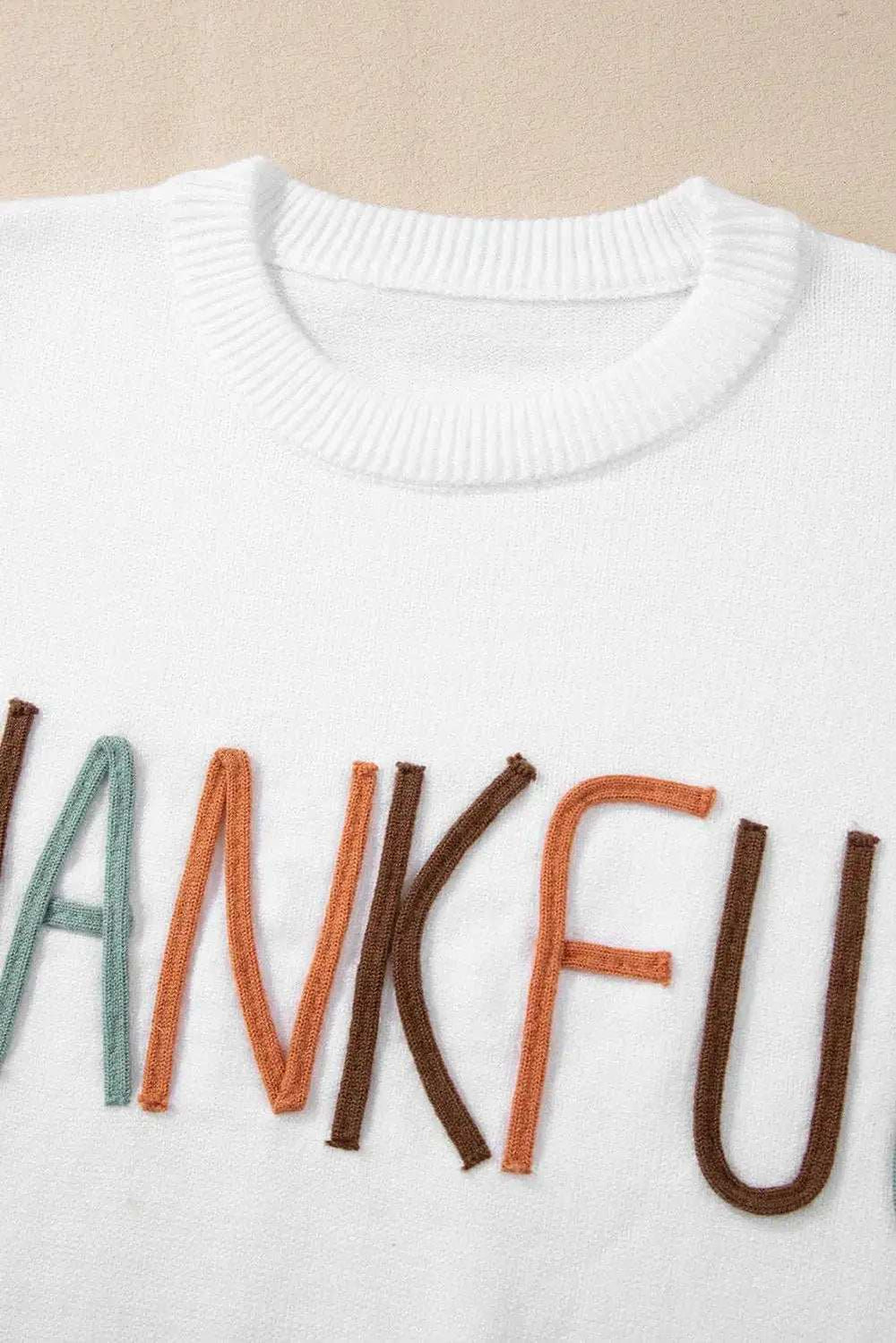 THANKFUL Round Neck Long Sleeve Knit Top - Trendsi - Flyclothing LLC