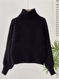 Full Size Textured Knit Turtleneck Long Sleeve Sweater Plus Size - Trendsi - Flyclothing LLC
