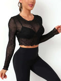 Round Neck Long Sleeve Sheer Top - Trendsi - Flyclothing LLC