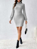 Turtleneck Long Sleeve Mini Dress - Trendsi - Flyclothing LLC