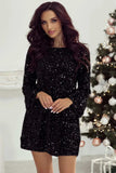 Sequin Round Neck Long Sleeve Mini Dress - Trendsi - Flyclothing LLC