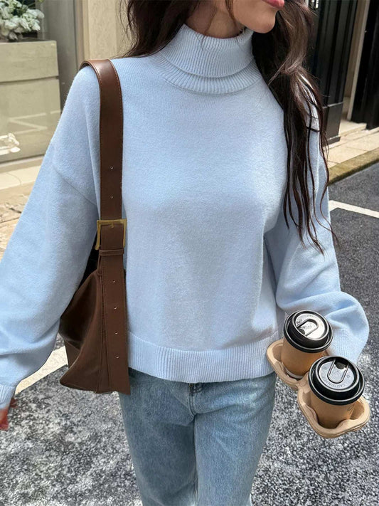 Turtleneck Long Sleeve Sweater - Trendsi - Flyclothing LLC