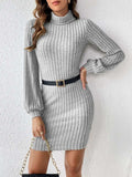 Turtleneck Long Sleeve Mini Dress - Trendsi - Flyclothing LLC