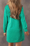 Texture Quarter Zip Long Sleeve Mini Dress - Trendsi - Flyclothing LLC