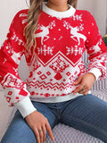 Christmas Element Round Neck Long Sleeve Sweater - Trendsi - Flyclothing LLC
