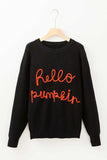 HELLO PUMPKIN Round Neck Long Sleeve Sweater - Trendsi - Flyclothing LLC