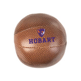 Hobart and William Smith Colleges Micro Soft Basketball - Logo Brands - Flyclothing LLC
