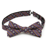 Mardi Gras Stripe Bow Tie - Cufflinks.com - Flyclothing LLC