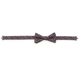 Mardi Gras Stripe Bow Tie - Cufflinks.com - Flyclothing LLC