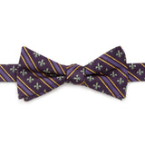 Mardi Gras Stripe Bow Tie - Cufflinks.com - Flyclothing LLC