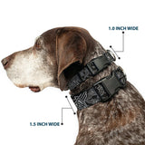 Plastic Clip Collar - BD Logo Scattered Black/Gray - Buckle-Down - Flyclothing LLC