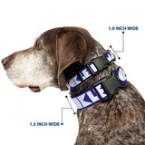 Plastic Clip Collar - BUCKLE-DOWN Shapes Blue/White - Buckle-Down - Flyclothing LLC
