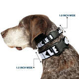 Plastic Clip Collar - BUCKLE-DOWN Shapes Black/White - Buckle-Down - Flyclothing LLC