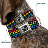 Dog Bone Seatbelt Buckle Collar - Checker Black/Neon Rainbow - Buckle-Down - Flyclothing LLC