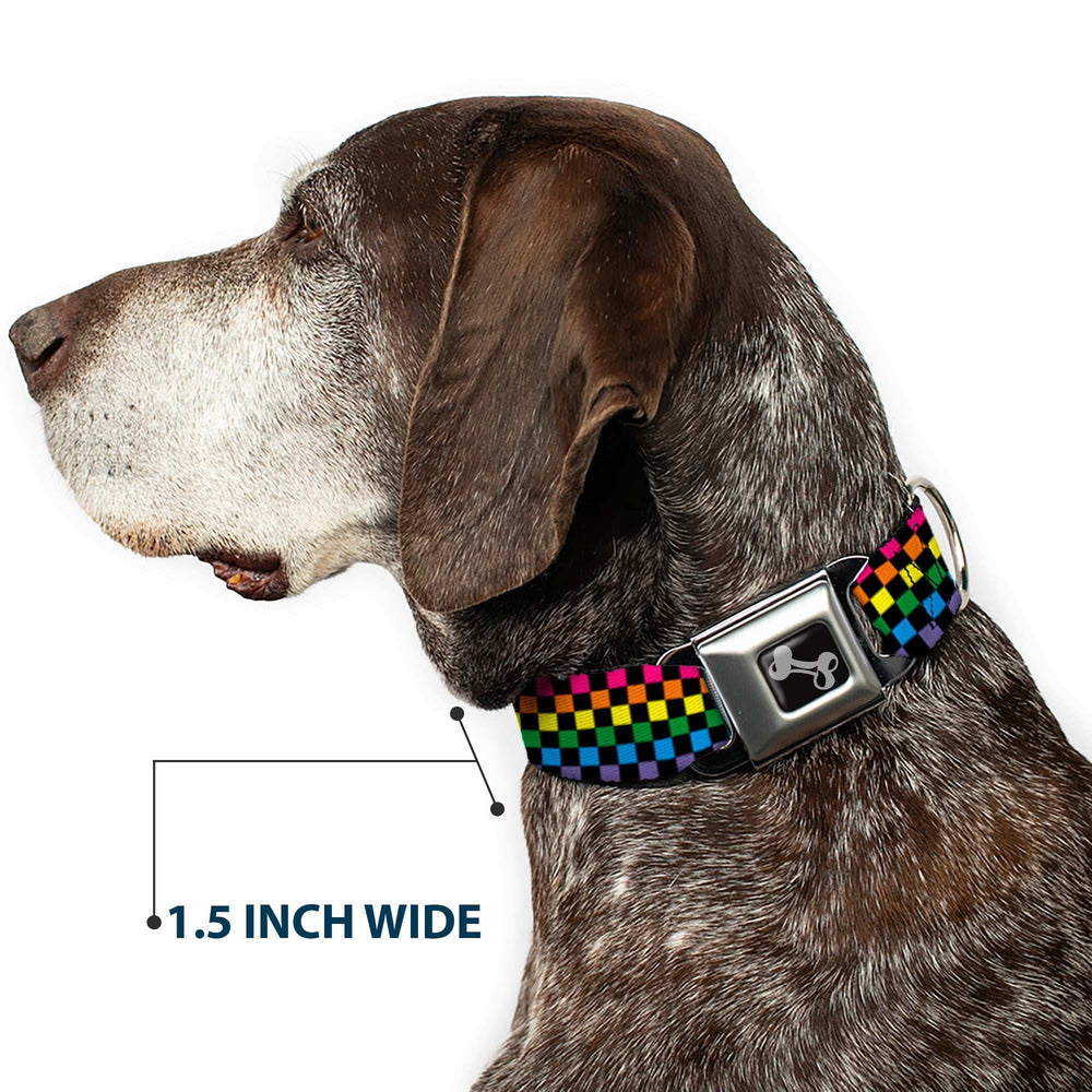 Dog Bone Seatbelt Buckle Collar - Checker Black/Neon Rainbow - Buckle-Down - Flyclothing LLC