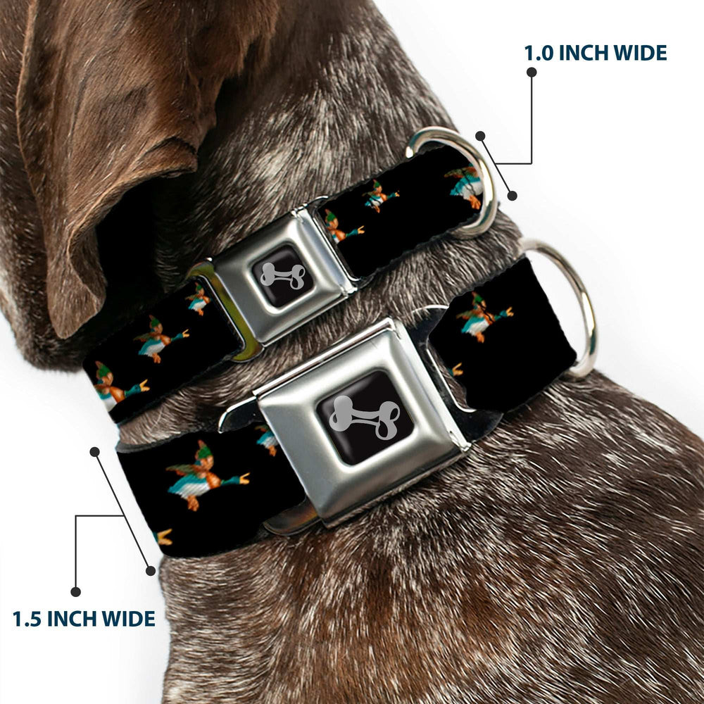 Dog Bone Seatbelt Buckle Collar - Flying Mallards Black - Buckle-Down - Flyclothing LLC