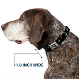 Dog Bone Seatbelt Buckle Collar - Flying Mallards Black - Buckle-Down - Flyclothing LLC