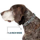 Dog Bone Seatbelt Buckle Collar - Leopard White/Multi Color - Buckle-Down - Flyclothing LLC