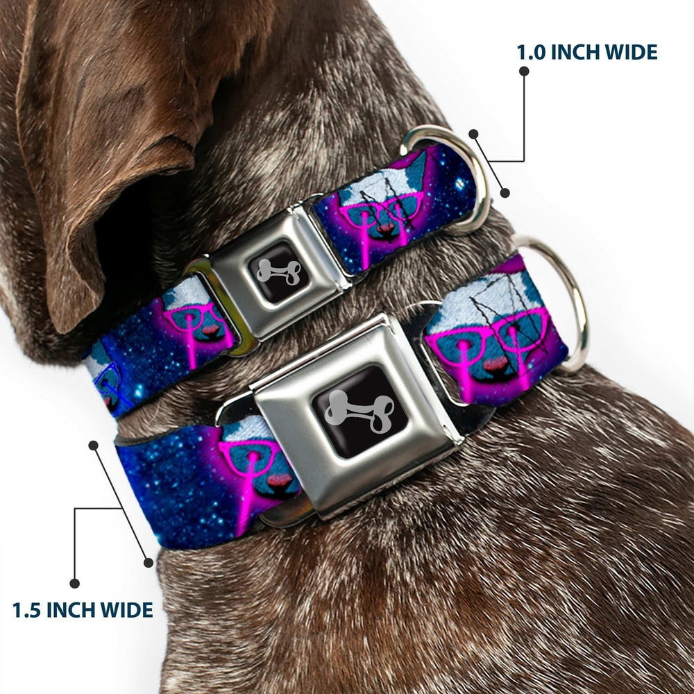 Dog Bone Seatbelt Buckle Collar - Laser Eye Cats in Space - Buckle-Down - Flyclothing LLC