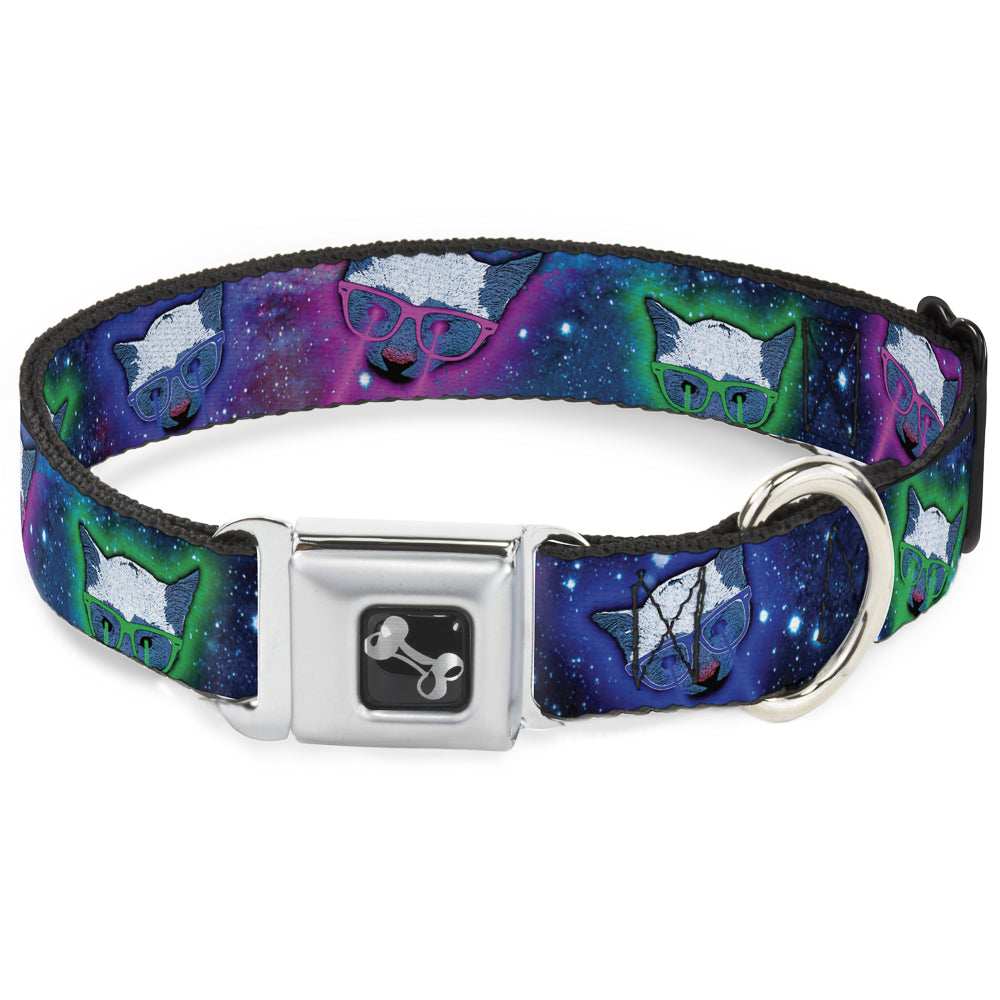 Dog Bone Seatbelt Buckle Collar - Laser Eye Cats in Space - Buckle-Down - Flyclothing LLC