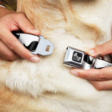 Dog Bone Seatbelt Buckle Collar - Mustaches White/Black - Buckle-Down - Flyclothing LLC
