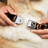 Dog Bone Seatbelt Buckle Collar - Mud Flap Girl Repeat Black/Orange Fade - Buckle-Down - Flyclothing LLC
