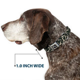 Dog Bone Seatbelt Buckle Collar - BD AUTHENTIC SEATBELT BELT SINCE 1993 Flames Olive/Tan - Buckle-Down - Flyclothing LLC