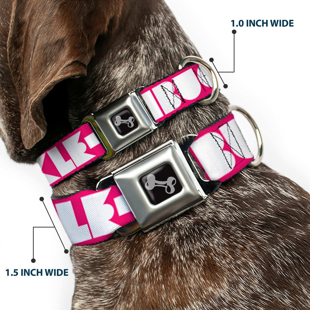 Dog Bone Seatbelt Buckle Collar - BUCKLE-DOWN Shapes Hot Pink/White - Buckle-Down - Flyclothing LLC