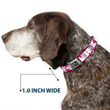 Dog Bone Seatbelt Buckle Collar - BUCKLE-DOWN Shapes Hot Pink/White - Buckle-Down - Flyclothing LLC