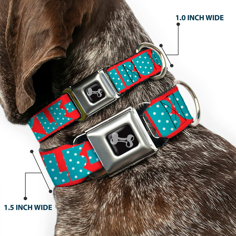 Dog Bone Seatbelt Buckle Collar - BUCKLE-DOWN Shapes Red/Dot Turquoise/White - Buckle-Down - Flyclothing LLC