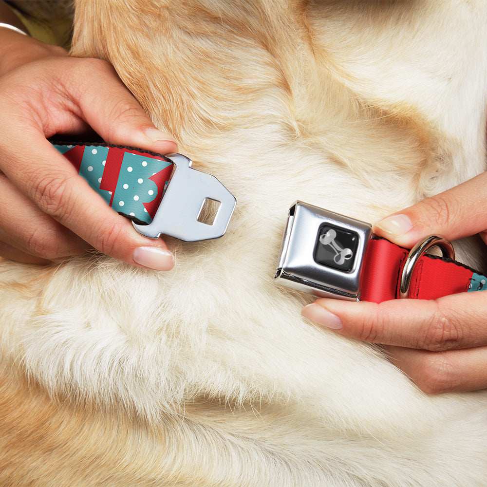 Dog Bone Seatbelt Buckle Collar - BUCKLE-DOWN Shapes Red/Dot Turquoise/White - Buckle-Down - Flyclothing LLC