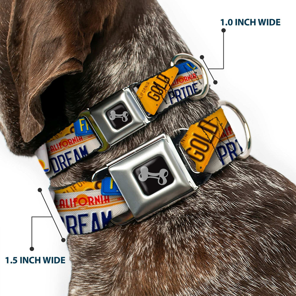 Dog Bone Seatbelt Buckle Collar - Cali License Plates Stacked - Buckle-Down - Flyclothing LLC