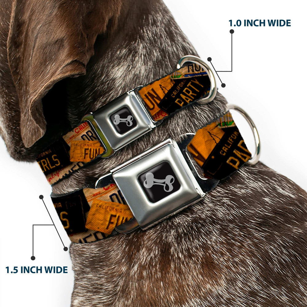 Dog Bone Seatbelt Buckle Collar - Cali License Plates Stacked Vintage - Buckle-Down - Flyclothing LLC
