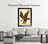Black Market Art Company Diving Eagle Print - Black Market Art Company - Flyclothing LLC