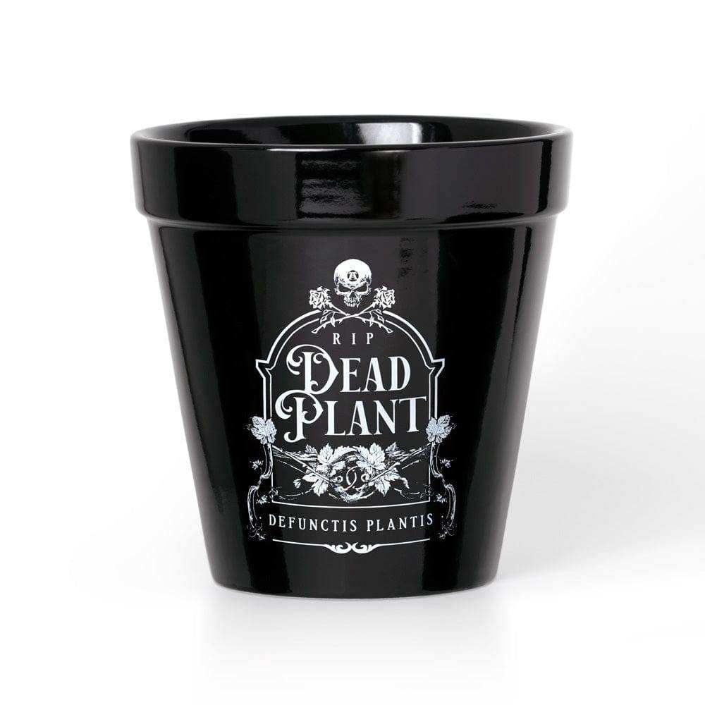 Alchemy Gothic Dead Plant Plant Pot - Alchemy Gothic - Flyclothing LLC