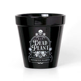 Alchemy Gothic Dead Plant Plant Pot - Alchemy Gothic - Flyclothing LLC