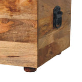 Beige Buffalo hide leather Storage Trunk - Artisan Furniture - Flyclothing LLC