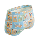 The Improper Protocol | Airplane Pamphlet Modal Boyshort Underwear - Shinesty - Flyclothing LLC